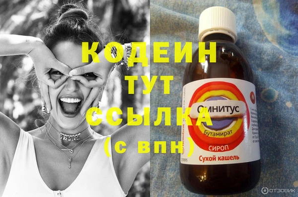 гашик Алексин