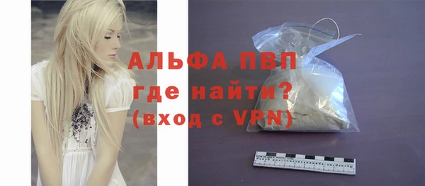 гашик Алексин
