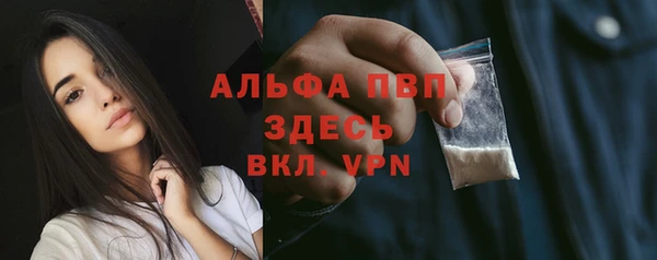 гашик Алексин