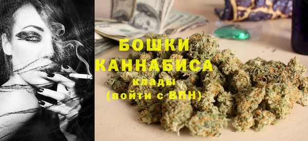 гашик Алексин