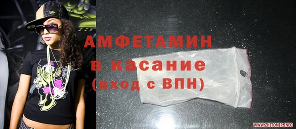 гашик Алексин