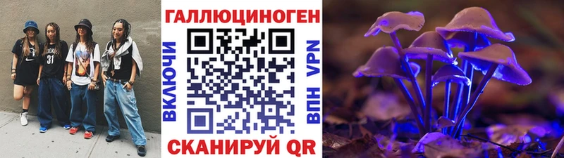 Псилоцибиновые грибы Psilocybe  Богучар 